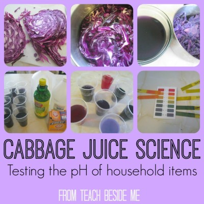 Cabbage-Juice-Science-from-Teach-Beside-Me-1024x1024