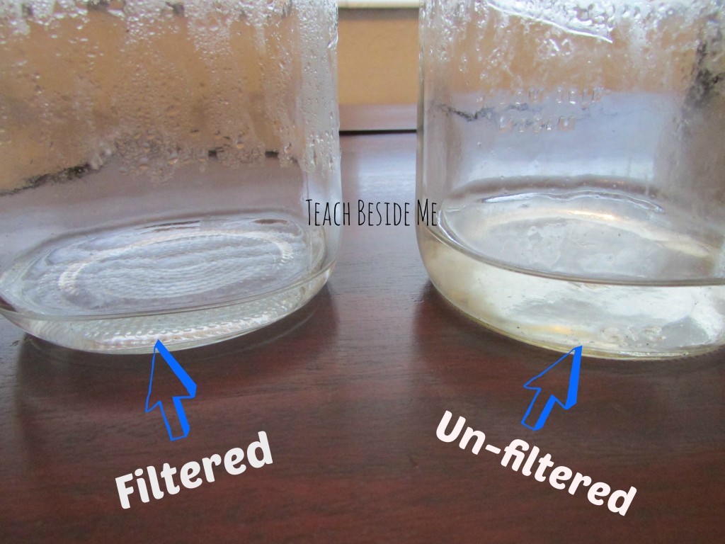 Filtered rain water experiment