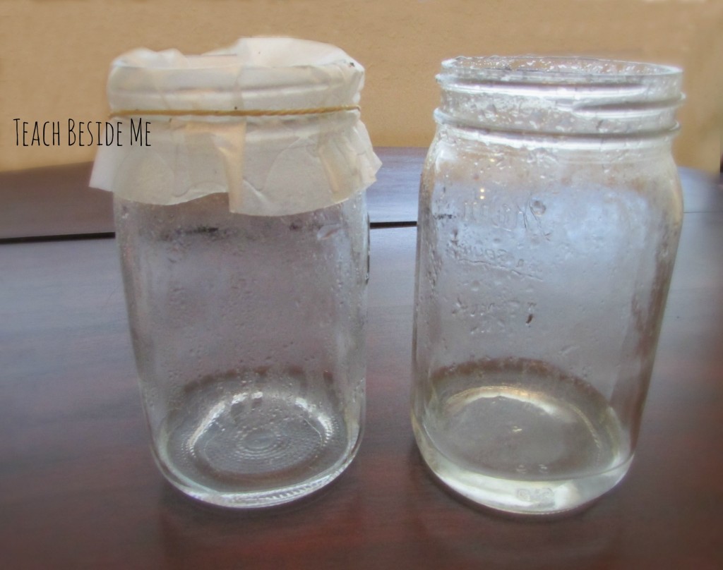Filtered rain water science experiment