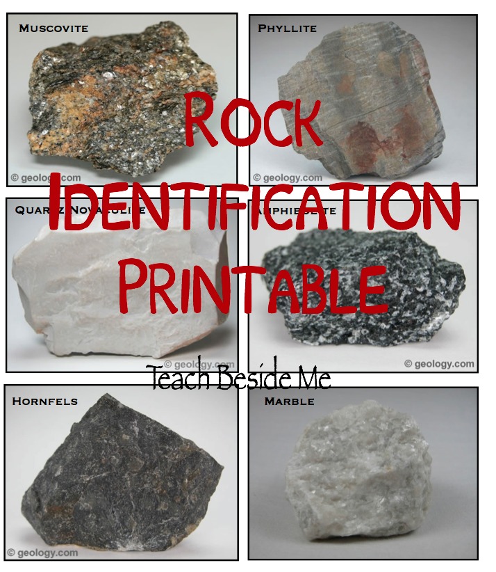 Rock Identification Printable from Teach Beside Me