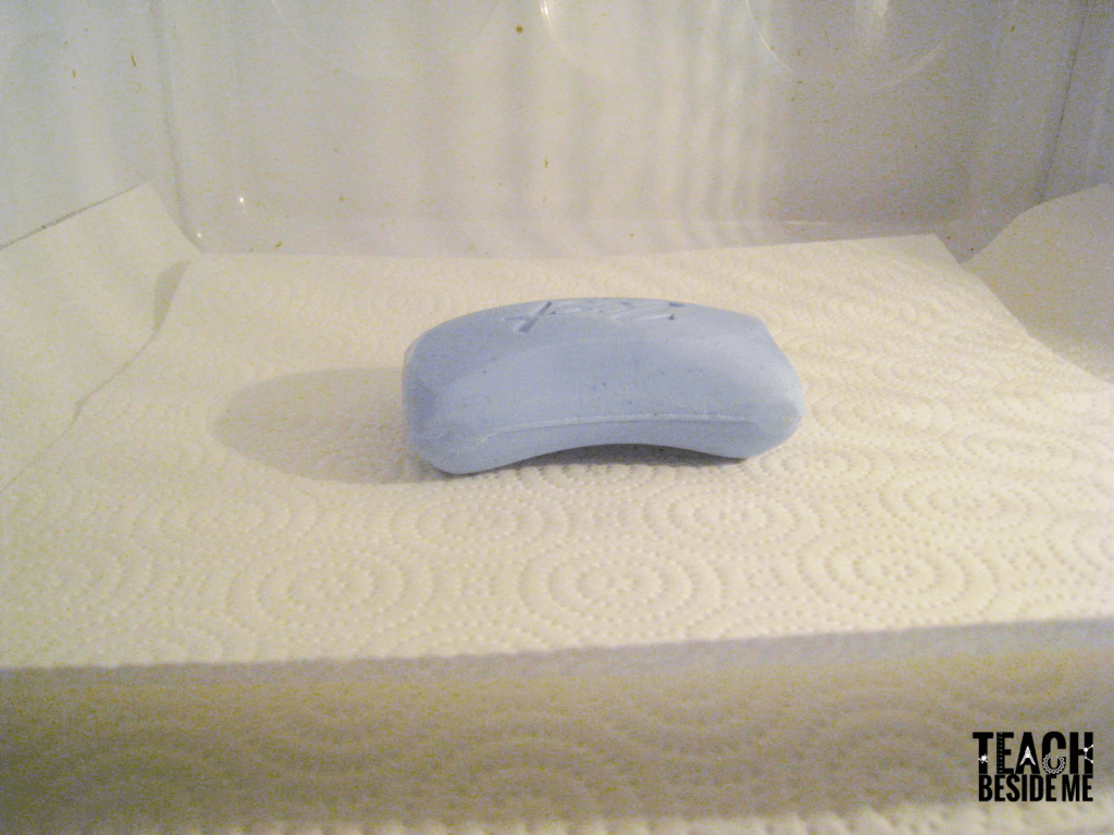 microwave soap science 