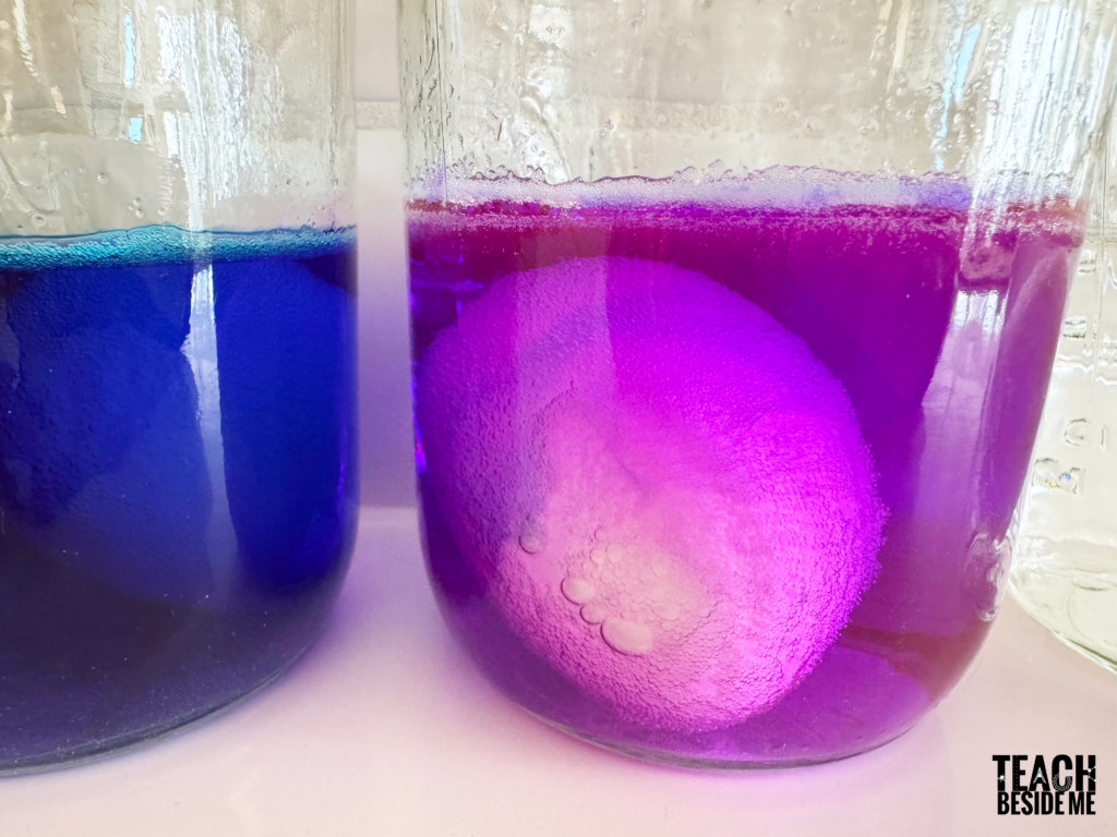 eggshell dissolving