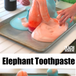 what is a hypothesis for elephant toothpaste