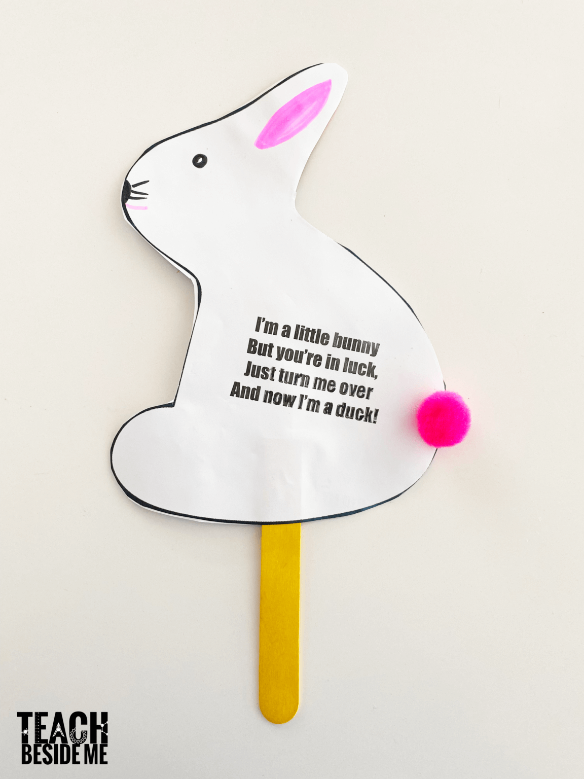 Ducks or Rabbits? Spring Illusion Craft - Teach Beside Me