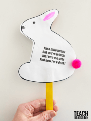 Ducks or Rabbits? Spring Illusion Craft - Teach Beside Me