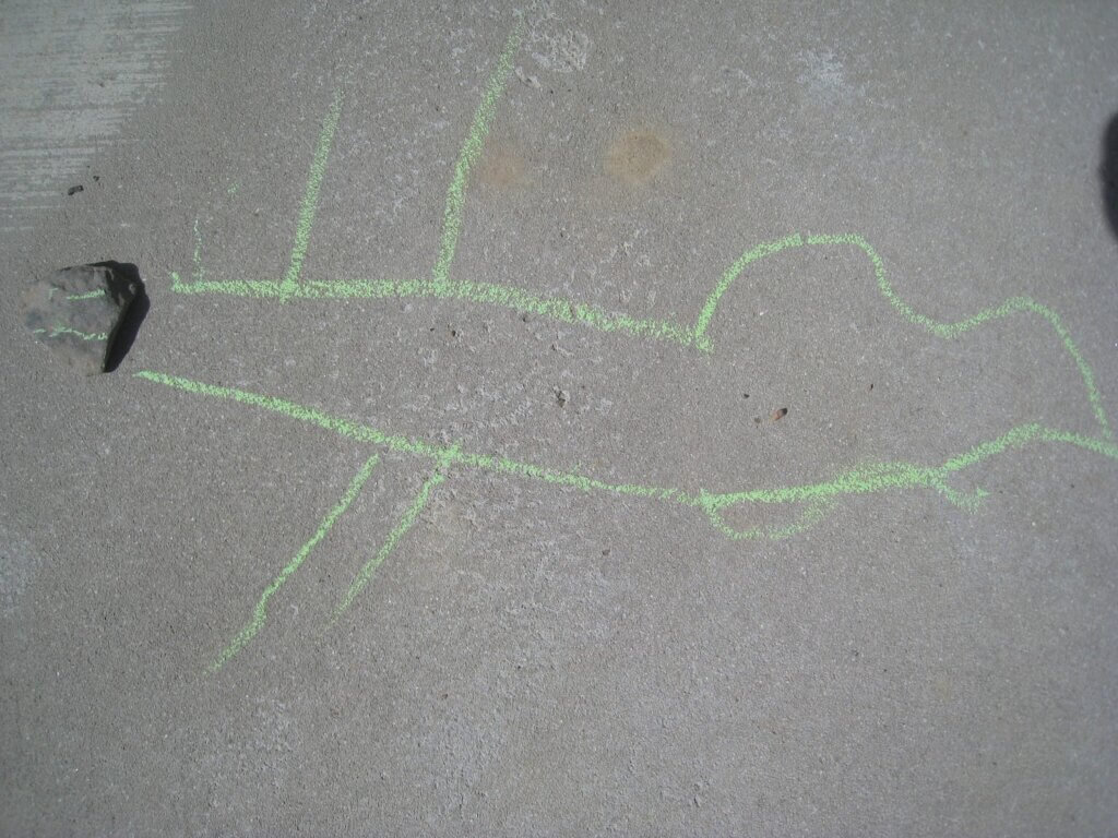 alligator nature art