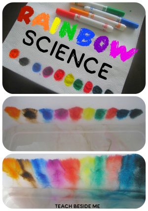 Rainbow Walking Water Experiment - Teach Beside Me