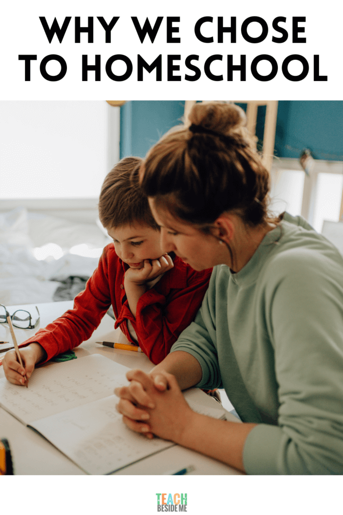 why we chose to homeschool