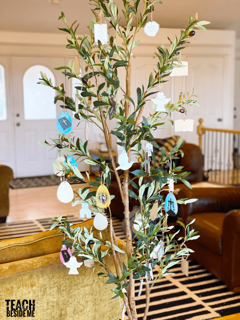 Easter Olive Tree
