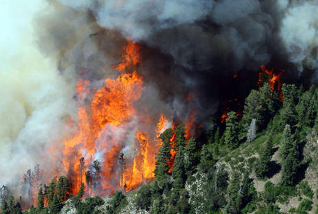 homeschooling through a family crisis wild fire