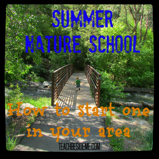 How to Start a Summer Nature School