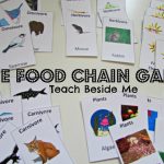 Food Chain Game- Science Printable