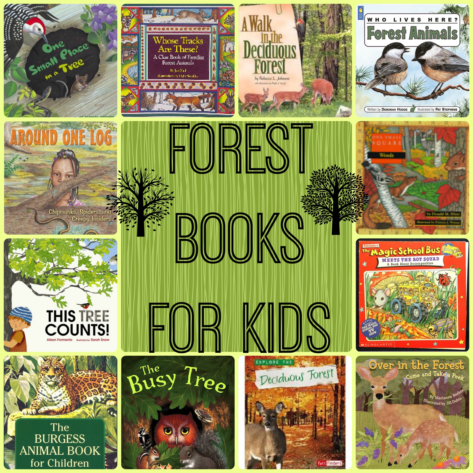 Pin By Esther Suarez On Rta Woodlands Forest Book Forest School Preschool Books