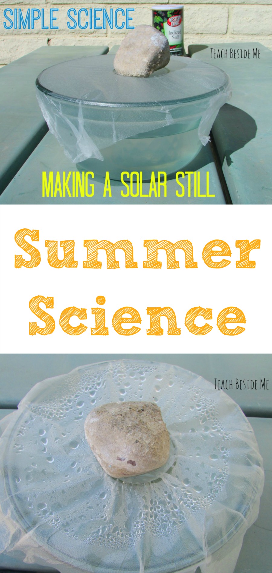 Summer Science- Making a Solar Still