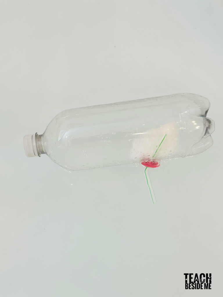 bottle rocket in water