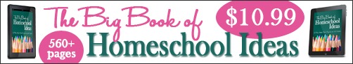 Big-Book-promo-3