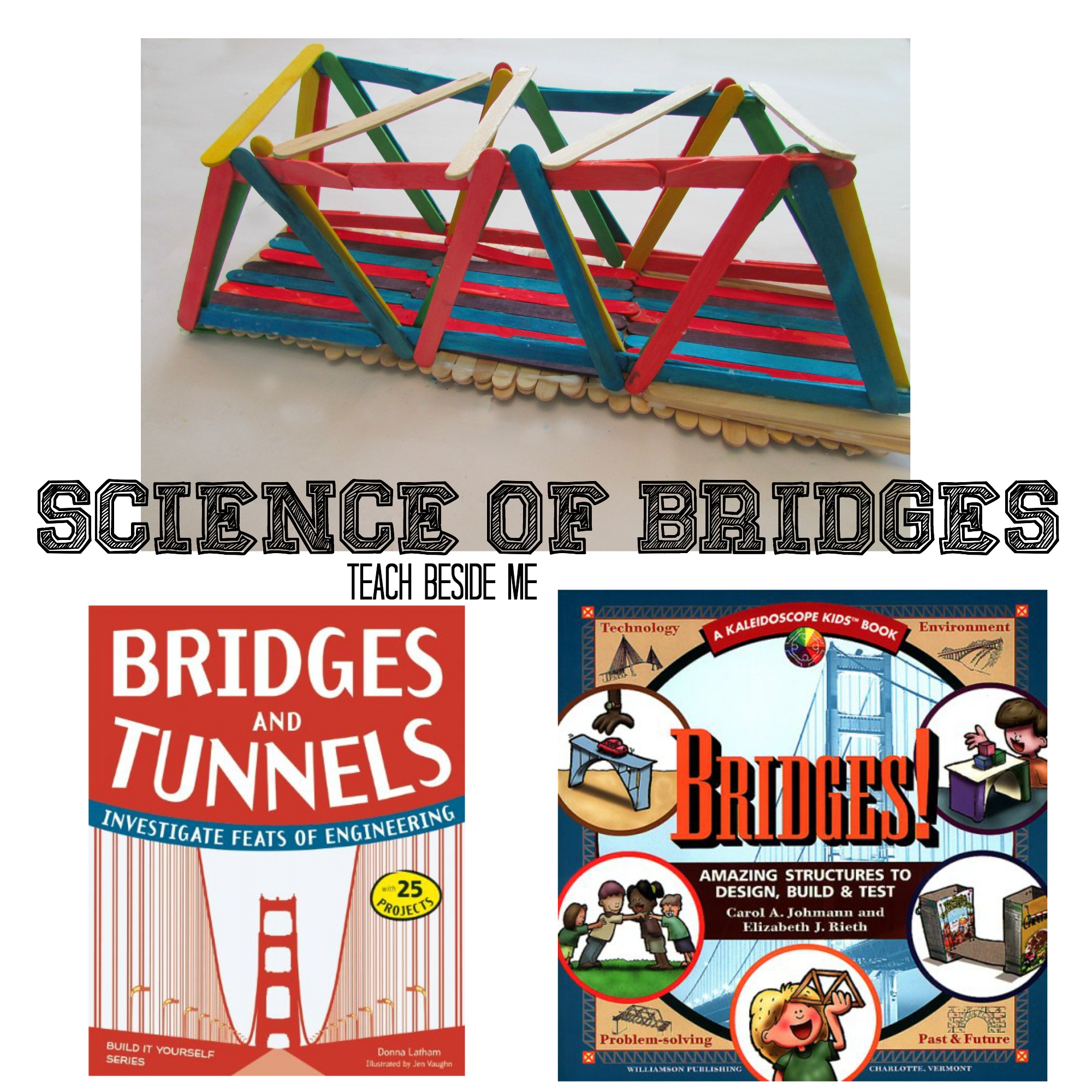 Science of Bridges from Teach Beside Me