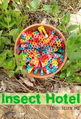 insect hotel nature science