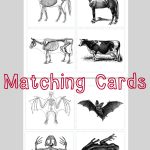Animal Skeleton Matching Cards