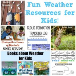Cloud Formations- With Printable Chart - Teach Beside Me