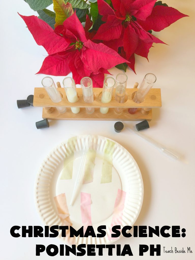 Christmas Science- Poinsettia pH - Holiday STEM