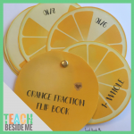 Orange Fraction Flip Book