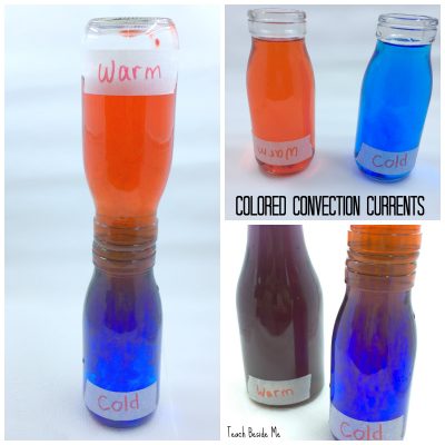 Colored convection currents science experiment