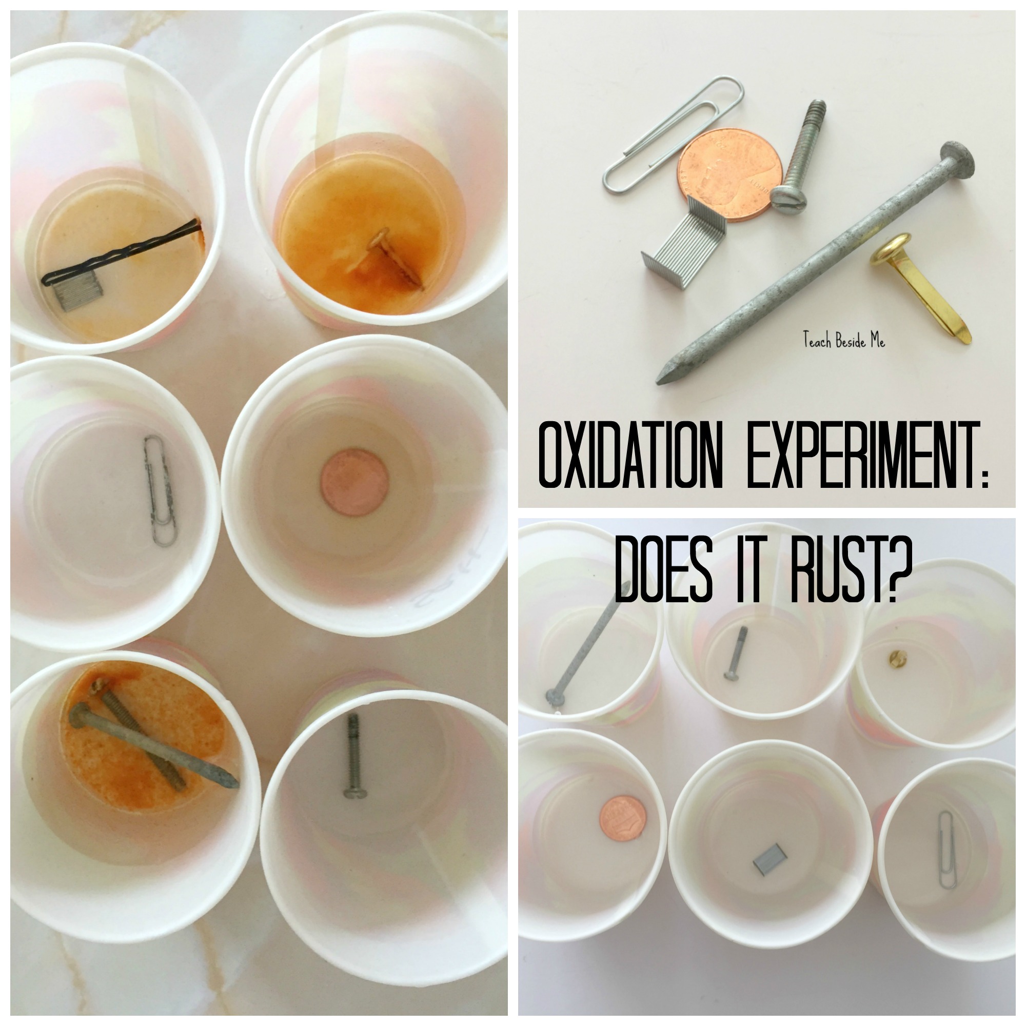 Iron Rusting Experiment