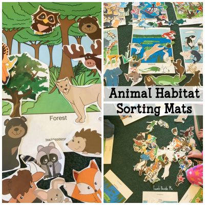 Animal Habitat Sorting Mats
