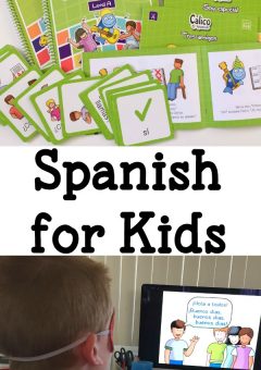 spanish curriculum Archives - Teach Beside Me