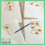 Bunny Cracker Counting