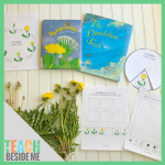 Dandelion Life Cycle Printable Pack -Spring Science