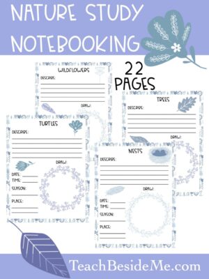 nature study- earth day activity