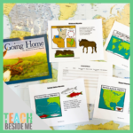 Mapping Animal Migrations