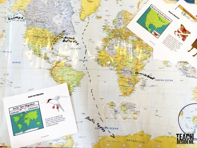 animal migration nature science earth day