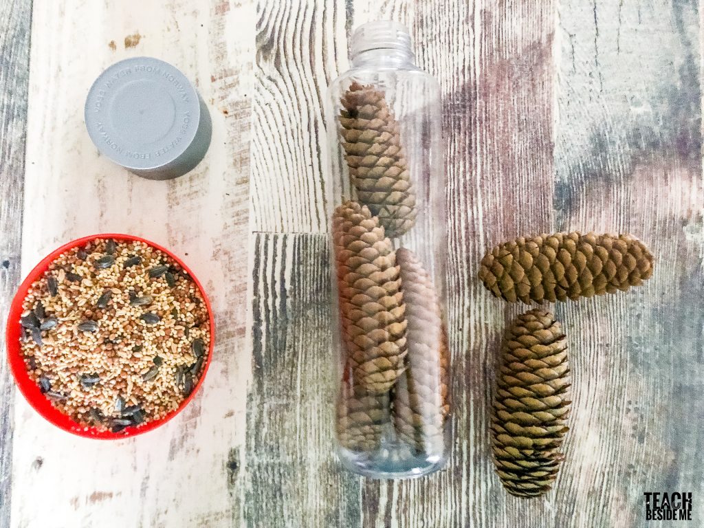 nature sensory bottle