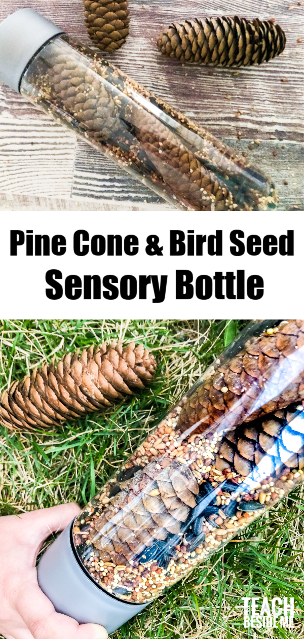 Pine Cone & Bird Seed Sensory Bottle