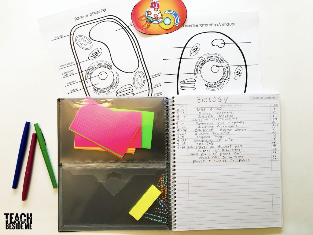 Cell Diagrams: Interactive Notetaking with Animal & Plant Cells - Teach  Beside Me