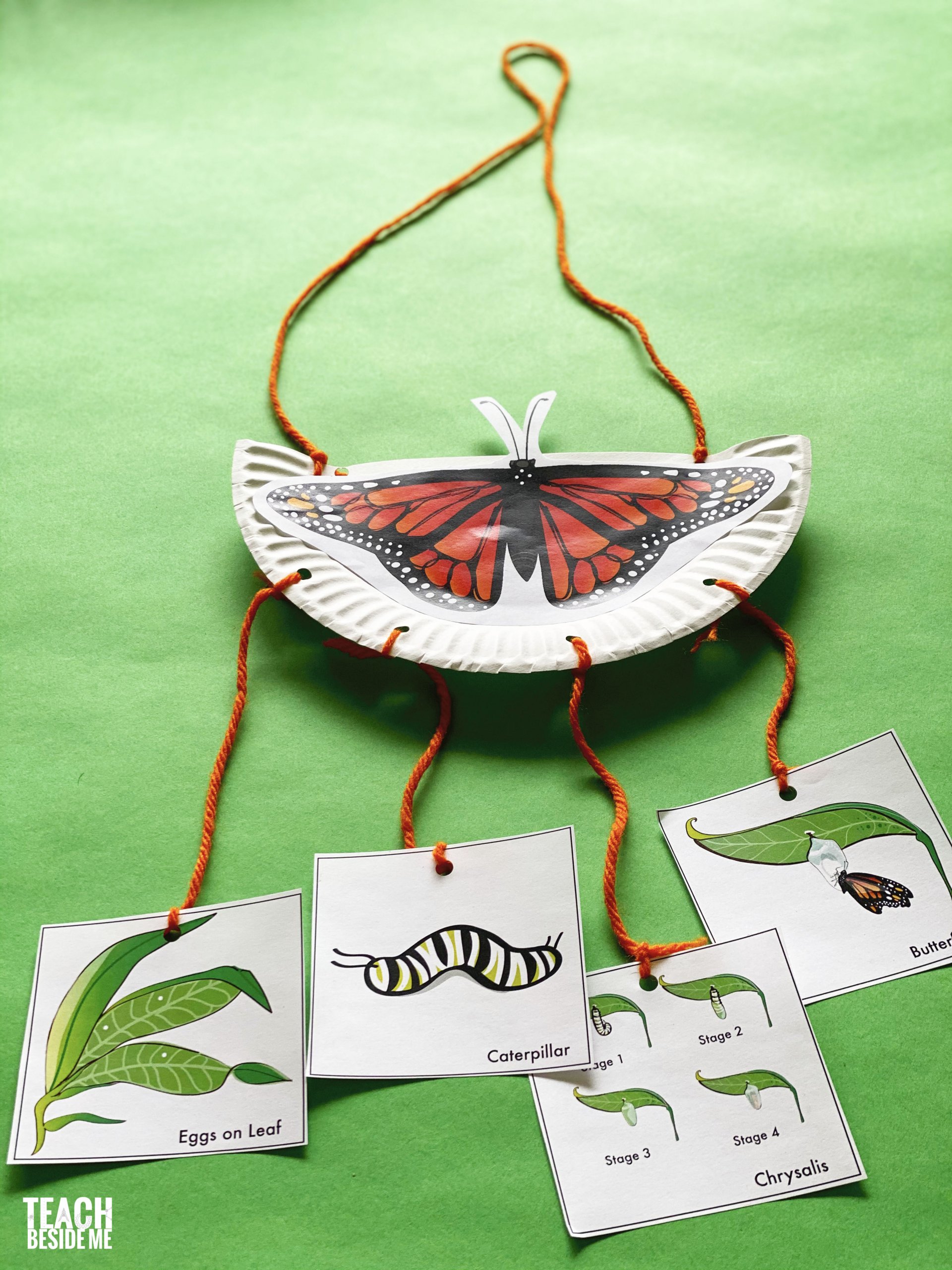 Monarch Butterfly Life Cycle Mobile - Teach Beside Me