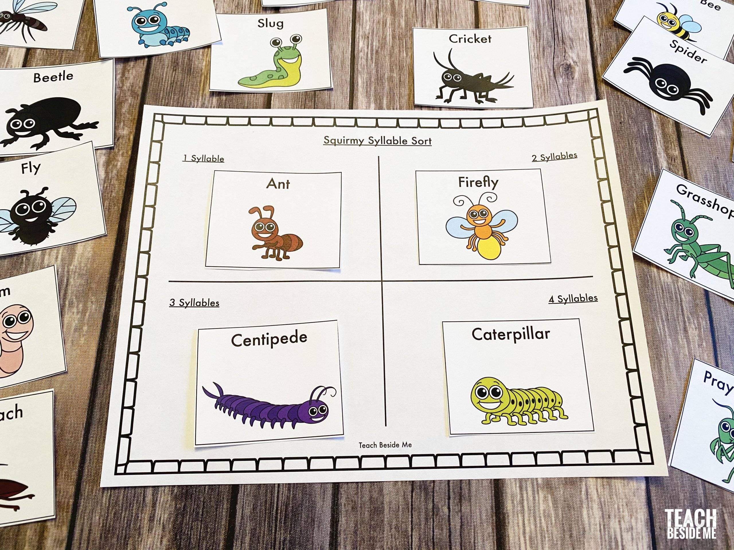 Squirmy Syllable Words Sort with Insects - Teach Beside Me