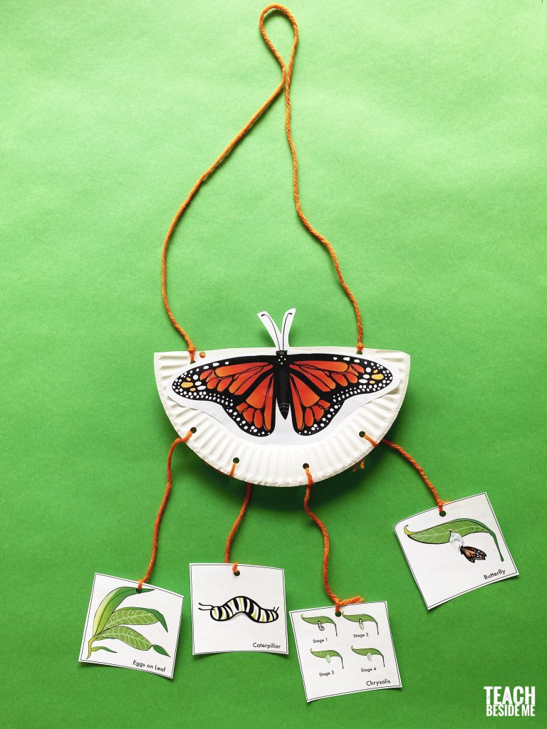 Monarch Butterfly Life Cycle Mobile