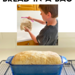 bread in a bag food science