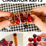 Holiday STEM Challenge- cranberry and cinnamon rafts