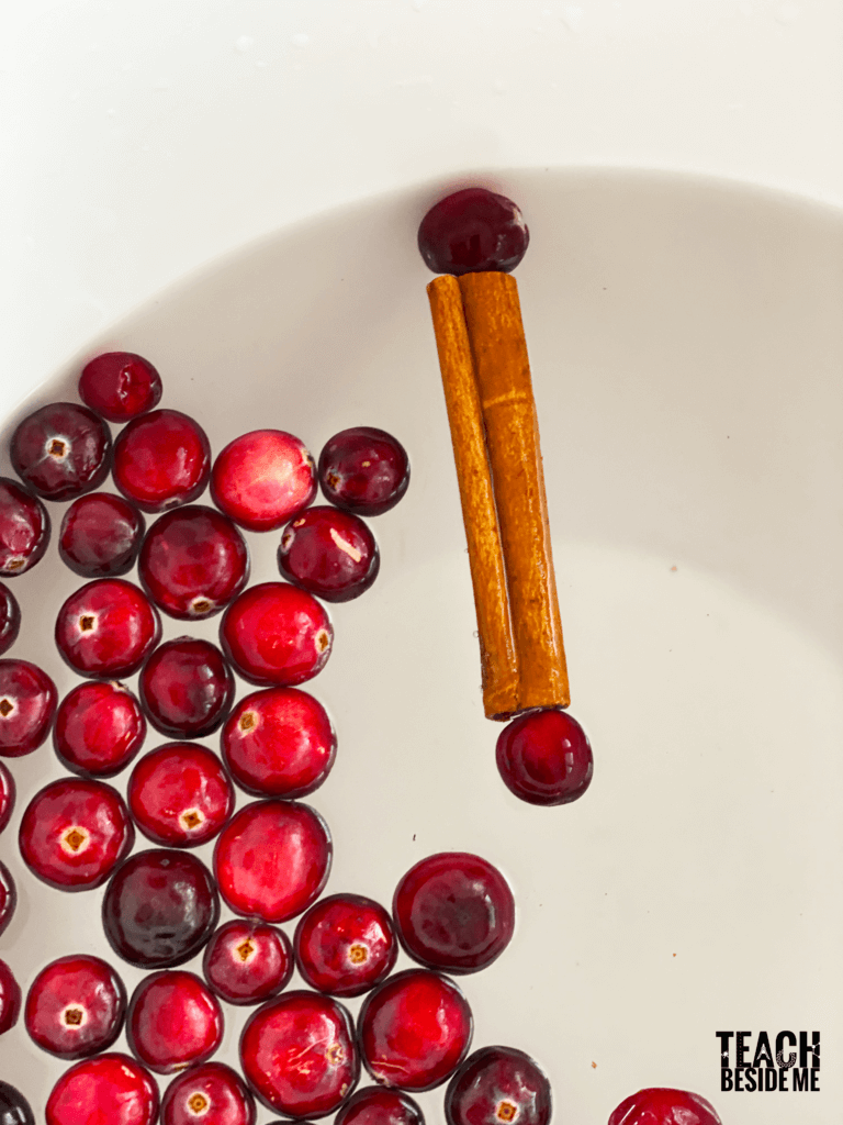 building cranberry rafts- Holiday STEM challenge