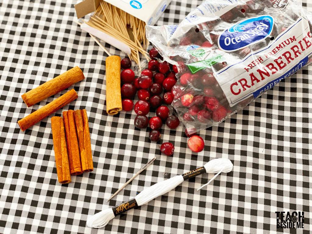 cranberry cinnamon rafts STEM challenge