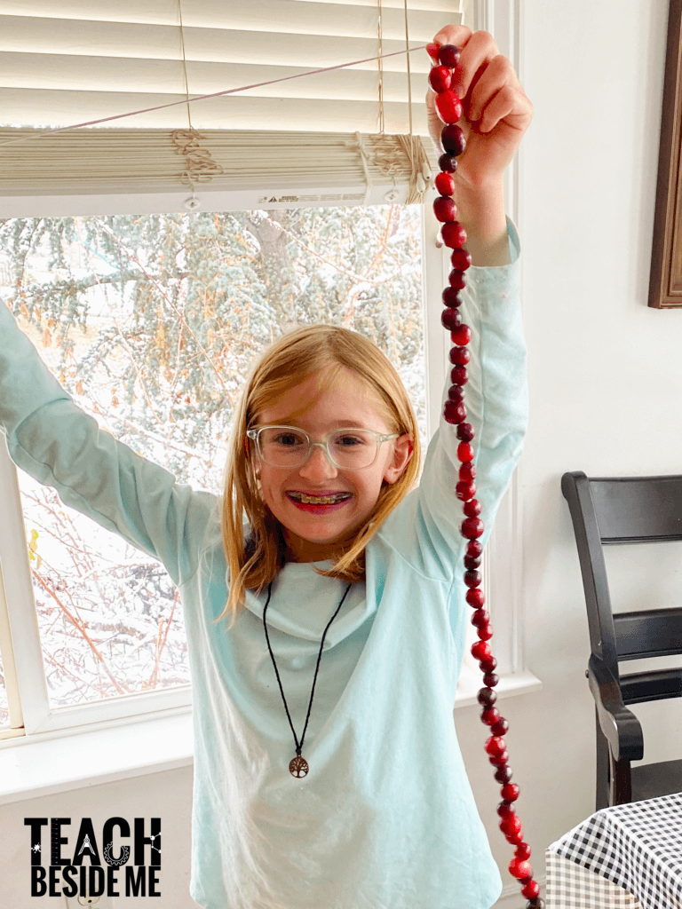 cranberry garlands