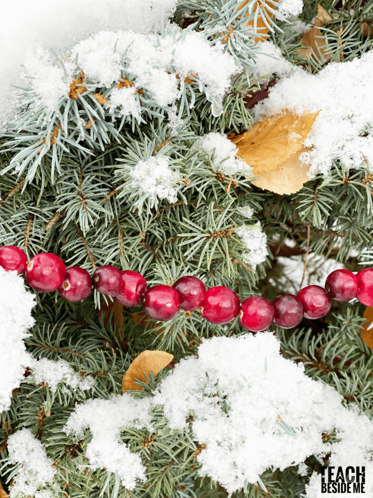 winter cranberry garland for birds