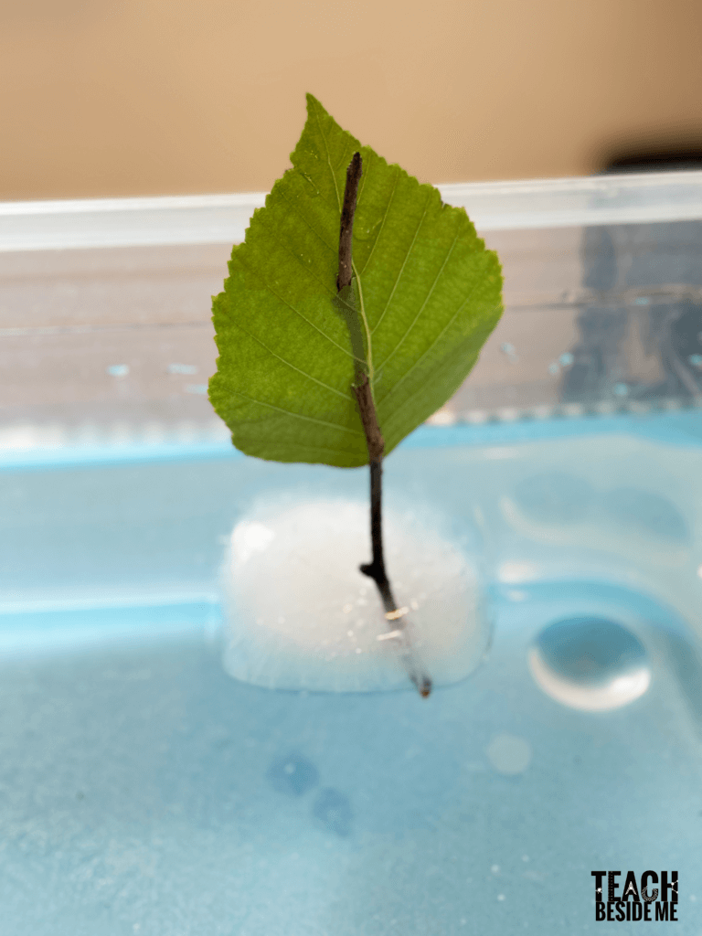 ice boat science activity for kids