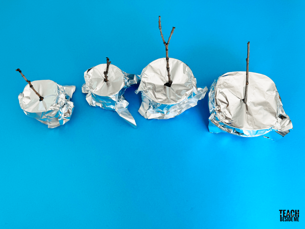 ice science- making ice boats