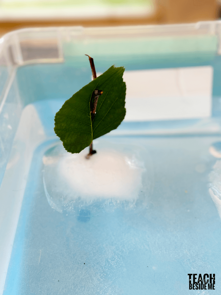 why does ice float- ice science boats for kids